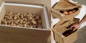 Секреты долгого хранения картошки